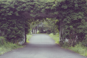 写真作品