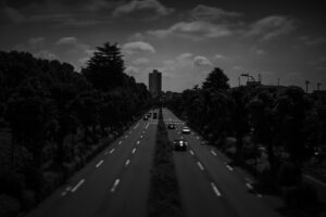 写真作品