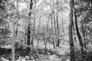 写真作品