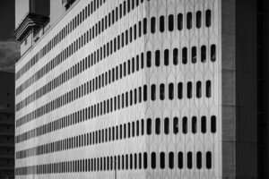 写真作品