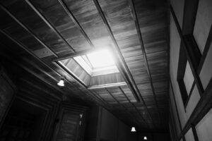 写真作品