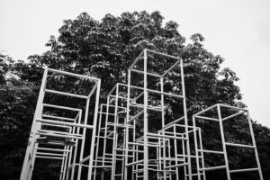 写真作品
